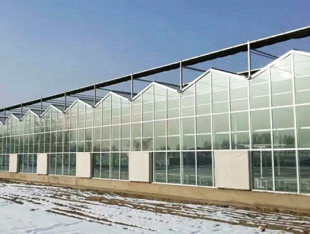 玻璃溫室和塑料大棚哪個保溫好？